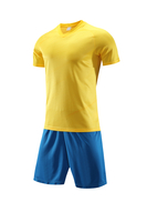 High Quality Purple Unisex Soccer Jersey